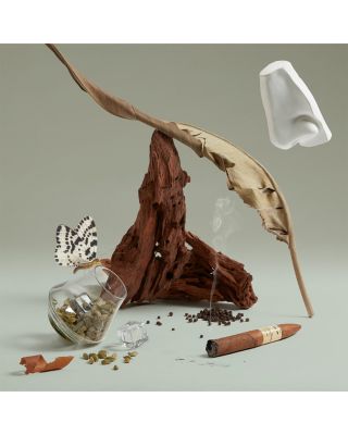 The Blazing Mister Sam Eau de Parfum 0.34 oz.