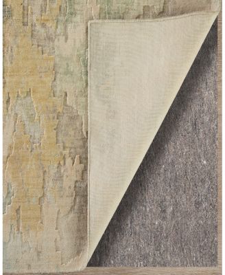 Feizy Jaxson 39SAF Area Rug, 2' x 3'