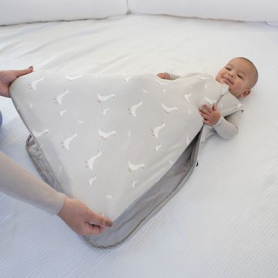  Unisex Sleep Bag Duvet 1.0 TOG – Baby, Little Kid,