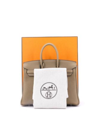 Birkin 25 Handbag Brown Togo with Palladium Hardware