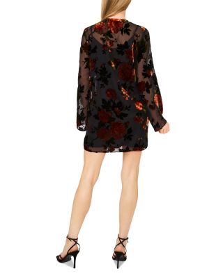 Bellasia Velvet Burnout Dress