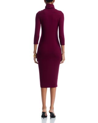 Voletta Three Quarter Sleeve Turtleneck Dress