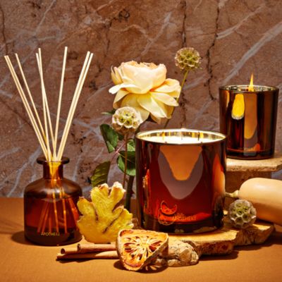 Pumpkin Ginger Home Fragrance Collection