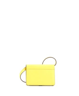 Chien Card Holder with Strap Swift and Chevre Mysore