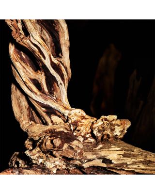 Le Vestiaire des Parfums Cuir Eau de Parfum 4.2 oz.