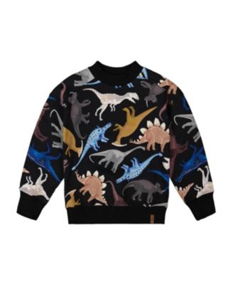 Boys' Pullover Fleece Sweatshirt - Little Kid