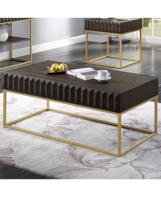 Wisha 48" Metal Frame 2-Drawer Coffee Table