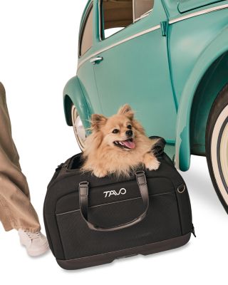 Hendrick Pet Car Seat & Flexible Carrier