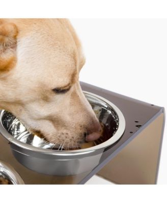 Tall Bronze Pet Feeder, 2 Quart Bowls