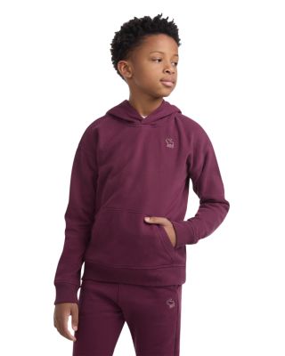 Boys' Essential Fleece Pullover Hoodie - Little Kid, Big Kid