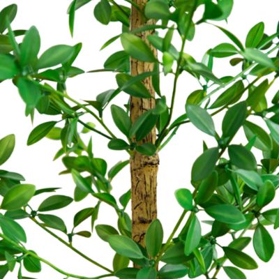 4' Artificial Shady Lady Black Olive Tree