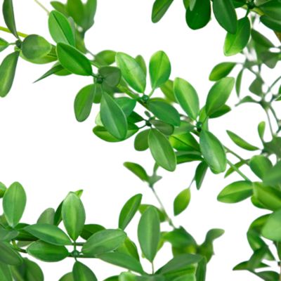 6' Artificial Shady Lady Black Olive Tree