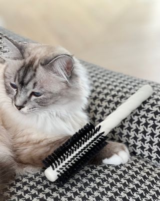 N.05 The Volume & Style Round Blow-Dry Hair Brush - Creamy White