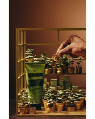 Party in the Greenhouse Set ($148 value)