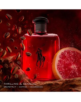 World of Polo Fragrance Gift Set ($210 value)