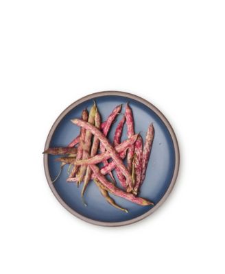  Dinner Plate, Set of 4