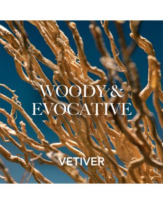 Intuition Eau de Parfum Spray 5 oz.