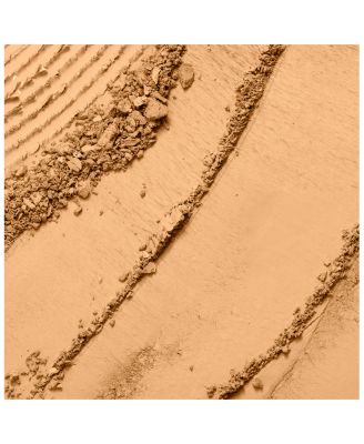 Dual Finish Multitasking Powder Foundation