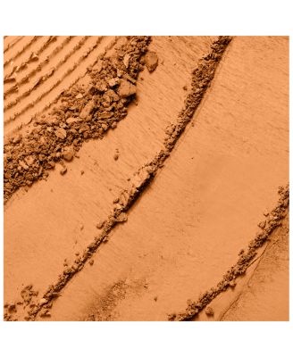 Dual Finish Multitasking Powder Foundation