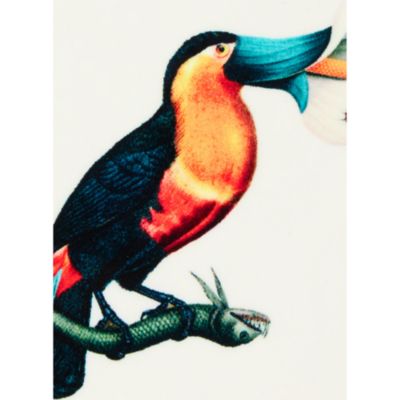 x Beto Val Disk Coasters, Set of 4