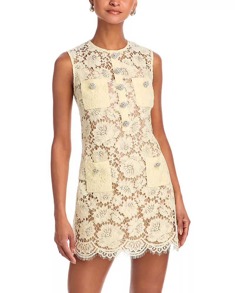 Self-Portrait Lace Mini Dress