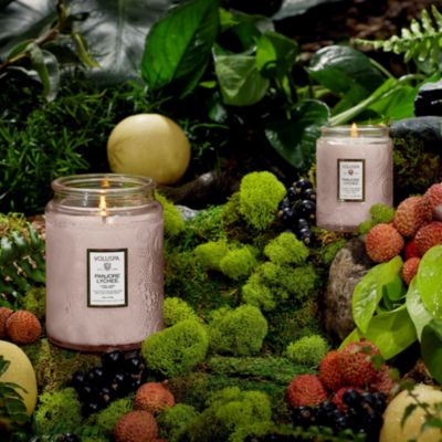 Japonica Panjore Lychee Collection