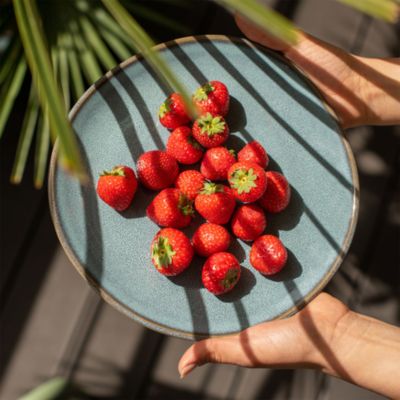 Lave Glace 12 Piece Dinnerware Set, Service for 4