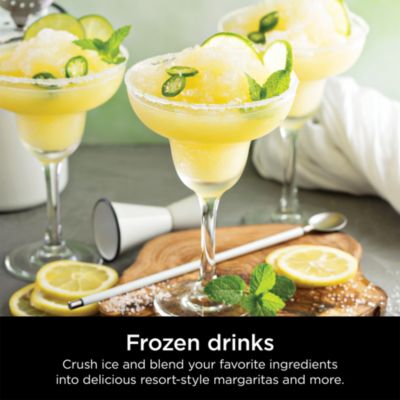 BL610 Professional Blender 1000