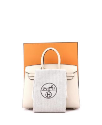 Birkin 25 Handbag Light Epsom with Palladium Hardware