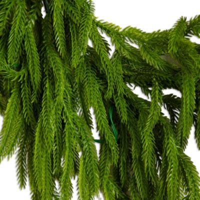 Pre-Lit Artificial Real Touch Norfolk Island Pine 6' Garland with Warm White LED Lights and Natural Look