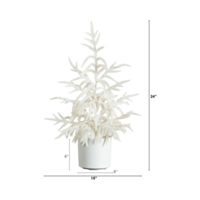 Natural Artificial Real Touch White Norfolk Island Pine 2&#39; Christmas Tree with Natural Look