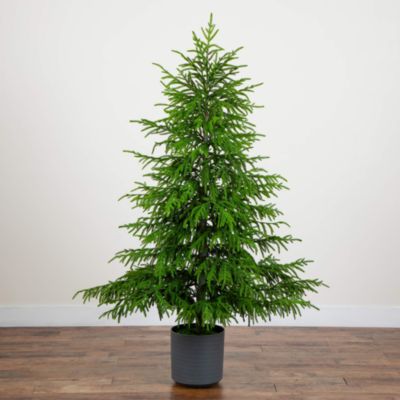 Artificial Real Touch Norfolk Island Pine 6' Christmas Tree with Natural Look