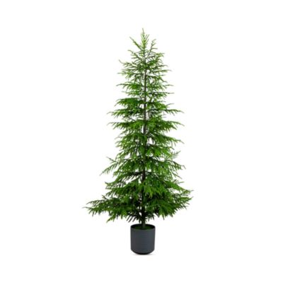 Artificial Real Touch Norfolk Island Pine 8' Christmas Tree with Natural Look