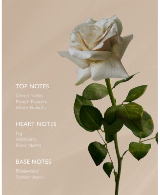 Rose Body Oil with Ximenynic Acid 3.38 oz.