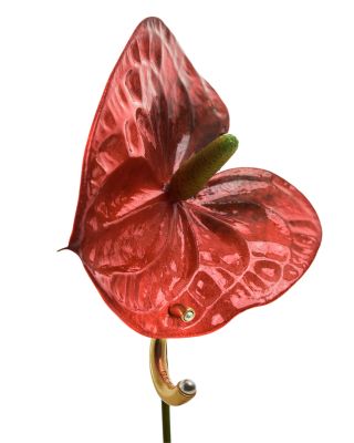 Anias Curve Hoop Earrings, 1.2" diameter