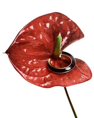 Thalia Twist Enamel Hoop Earrings, 1.2" diameter