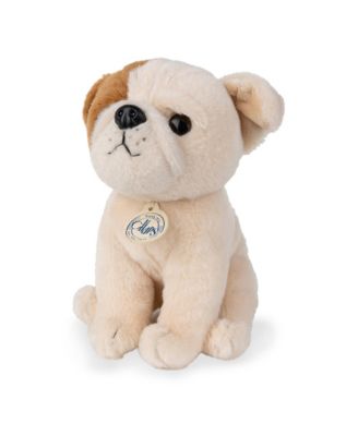  Bt Chaps Bertha The American Bulldog Floppy In Giftbox Plush 5-7 - Ages 5-7