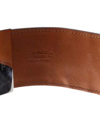 Collier de Chien Bracelet Alligator