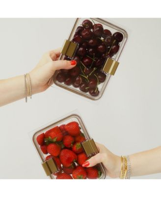  The Large Luncher + Container