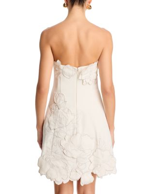 Ayla Applique Bustier Mini Dress