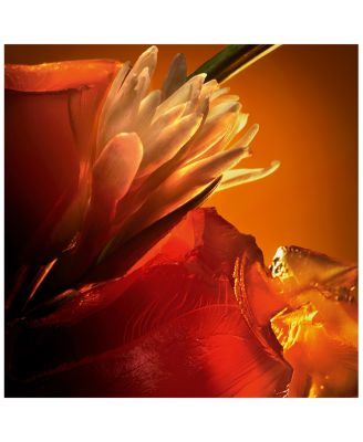 F&eacute;tiche L'Ambre Eau de Parfum 2.7 oz.