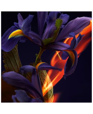 F&eacute;tiche L'Iris Eau de Parfum 2.7 oz.