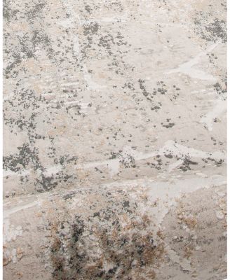 Alloy ALL341 Area Rug, 10' x 13'