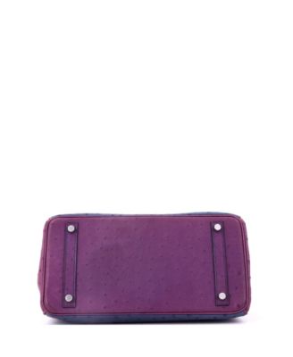 Birkin 30 Handbag Tricolor Ostrich with Palladium Hardware