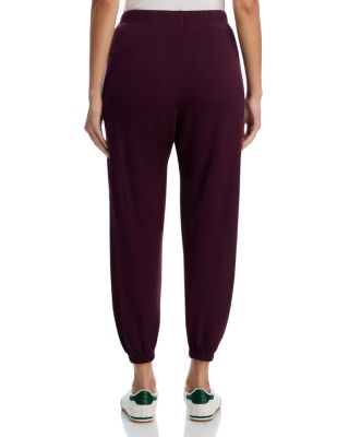 Andie Drawstring Sweatpants