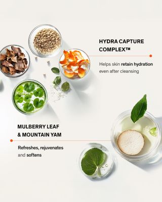 Gentle Cleansing Foam 1.7 oz.