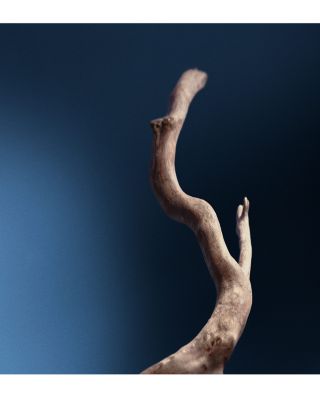 Resolute Facial Concentrate 0.8 oz.