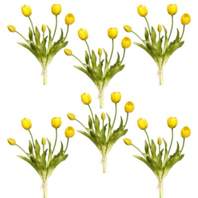 Blooming Tulip Bunch, Set of 6