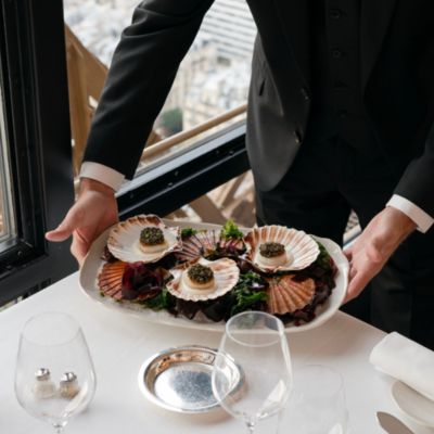 Plume Dinnerware Collection