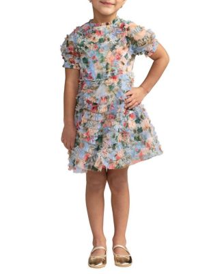 Girls' Floral Mesh Ruffle Puff Sleeve Dress - Little Kid, Big Kid